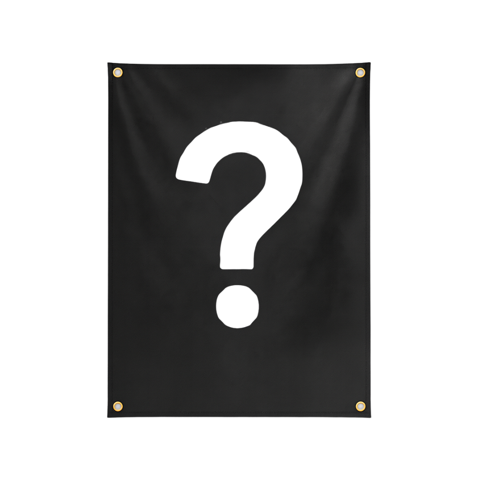 MYSTERY FLAG - We Defy The Norm