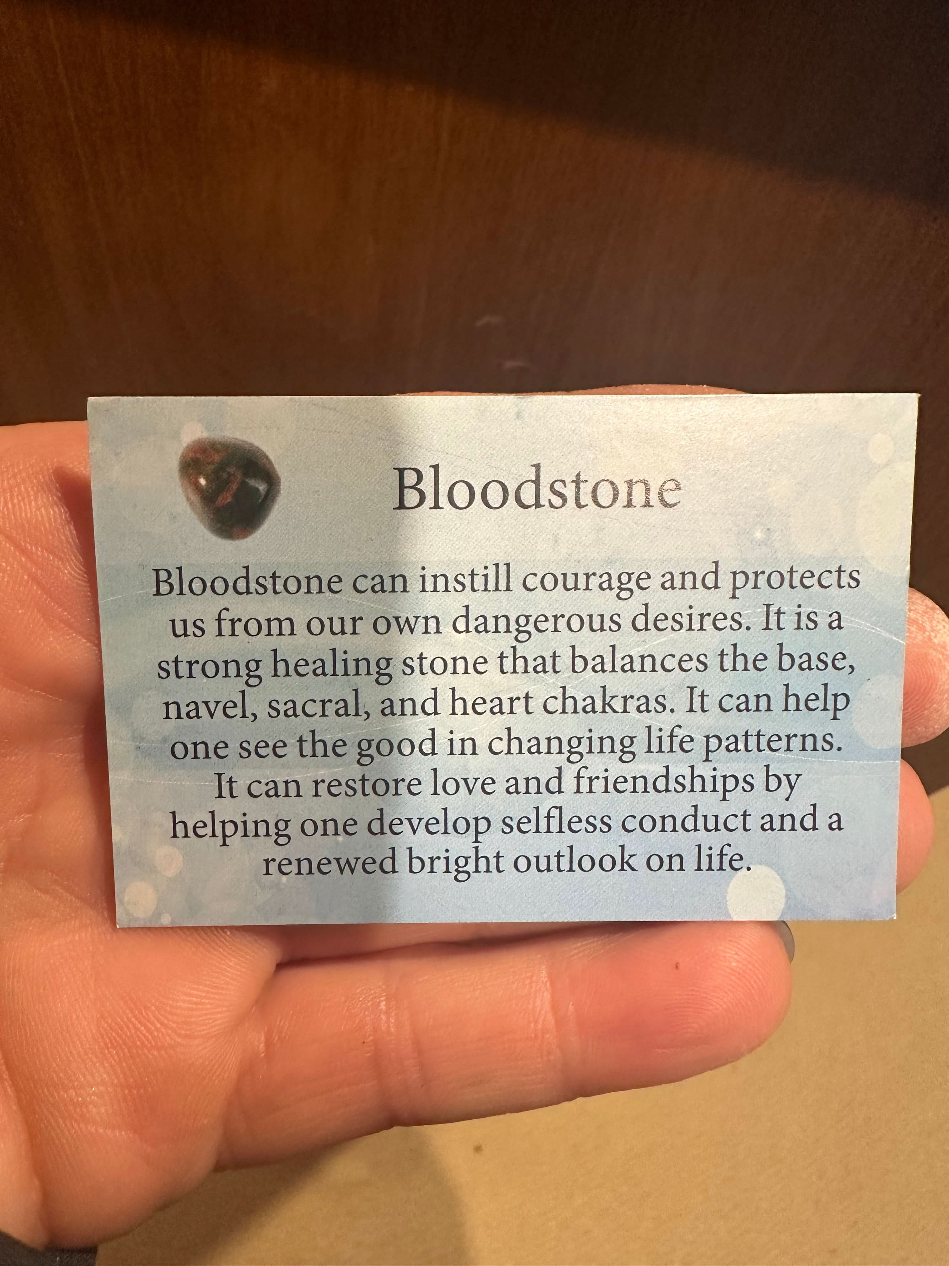 Defy Tomahawk Prayer Style Mala - Bloodstone - We Defy The Norm